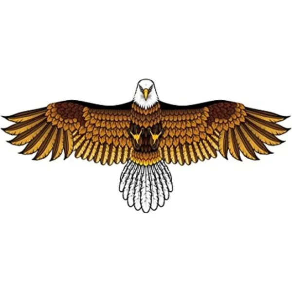 Eagle Kite para niños y adultos con envergadura de 60_1