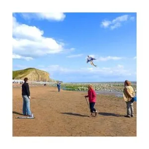 Cometa de avión para niños y adultos fácil de volar_6