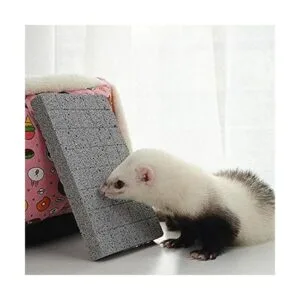 Litewoo Tablero rascador de conejos molares y patas