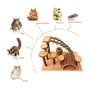 Tfwadmx Puente de hámster de madera animales pequeños_3