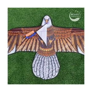 Eagle Kite para niños y adultos con envergadura de 60_5