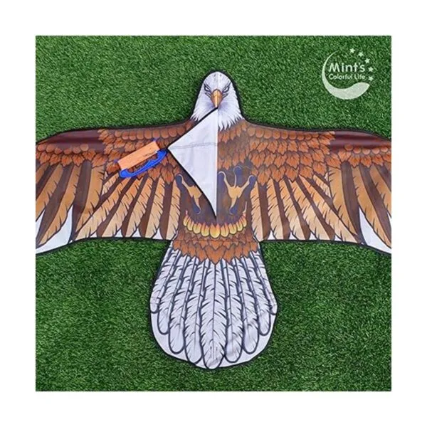 Eagle Kite para niños y adultos con envergadura de 60_5
