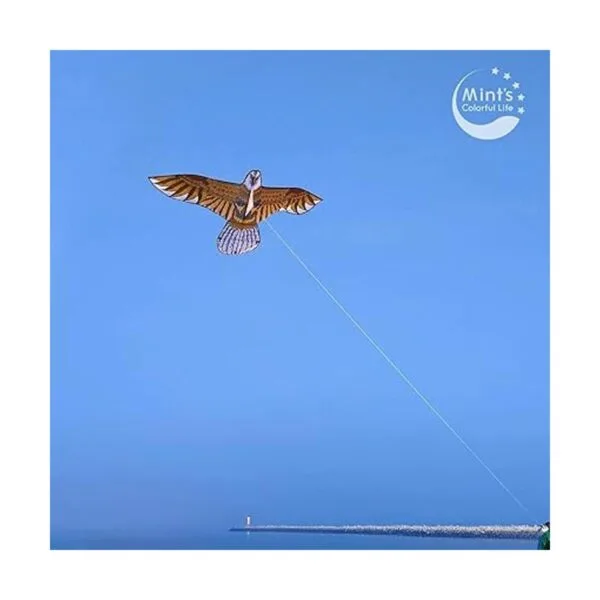 Eagle Kite para niños y adultos con envergadura de 60_6