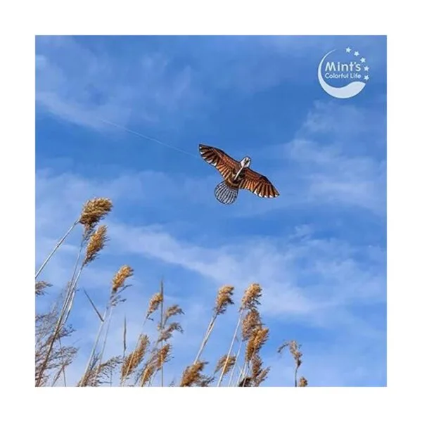 Eagle Kite para niños y adultos con envergadura de 60_2