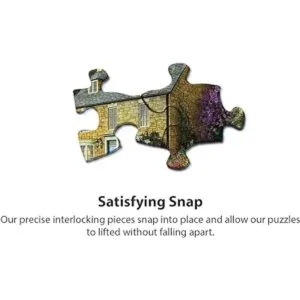 Springboks 1000 Piece Jigsaw Puzzle The Cottage Faro_5