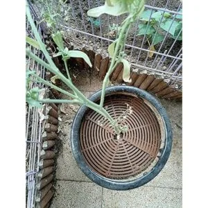 Maceta de rejilla para macetas cubierta repelente de_6