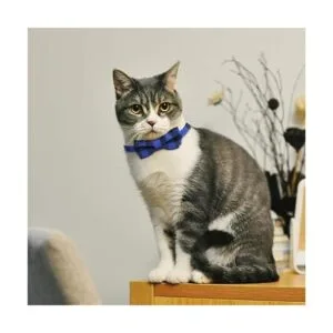 SLSON 4 collares de gato con campanilla para gatos con