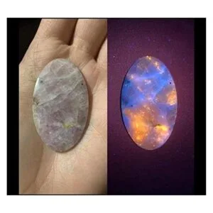 LIGHTFE Blacklight Linterna UV de 365 nm con salida de_3