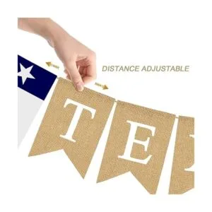 Bandera de la bandera del estado de la estrella solitaria_4