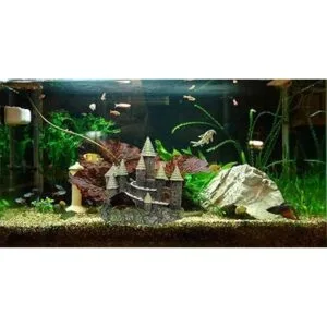 M2cbridge Decoración de acuario para castillo de pecera
