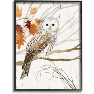 Stupell Industries Pintura de acuarela con diseño de búho_1