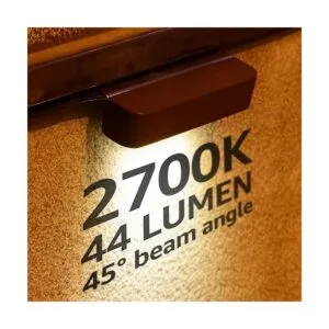 LEONLITE Paquete de 8 luces LED de bajo voltaje de 4_2