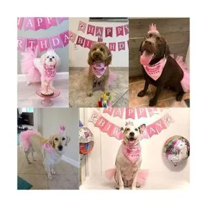 ADOGGYGO Dog Birthday Bandana Girl Birthday Party_2