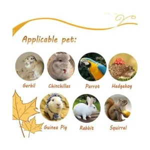 Litewoo Hamaca para cama de pájaro loro para invierno_6