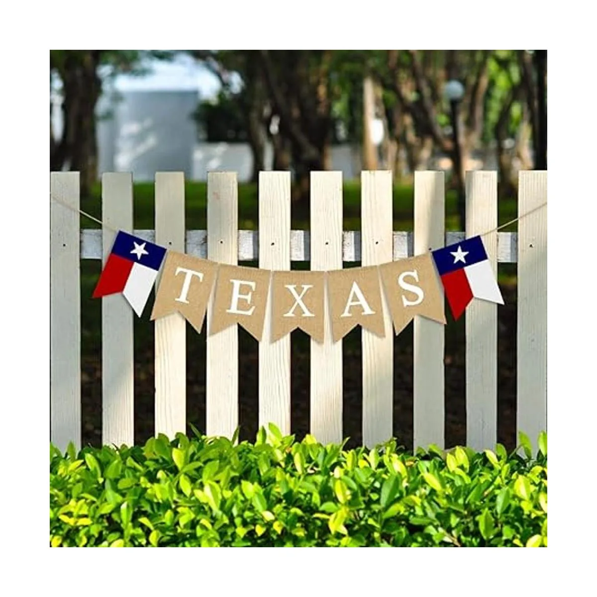 Bandera de la bandera del estado de la estrella solitaria_2