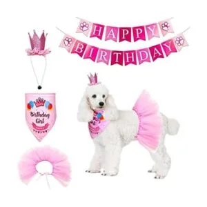 ADOGGYGO Dog Birthday Bandana Girl Birthday Party_1
