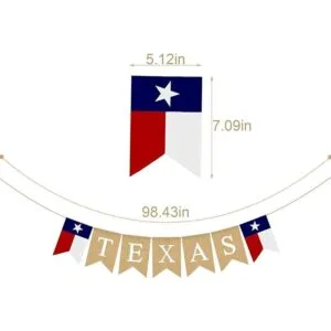 Bandera de la bandera del estado de la estrella solitaria_5