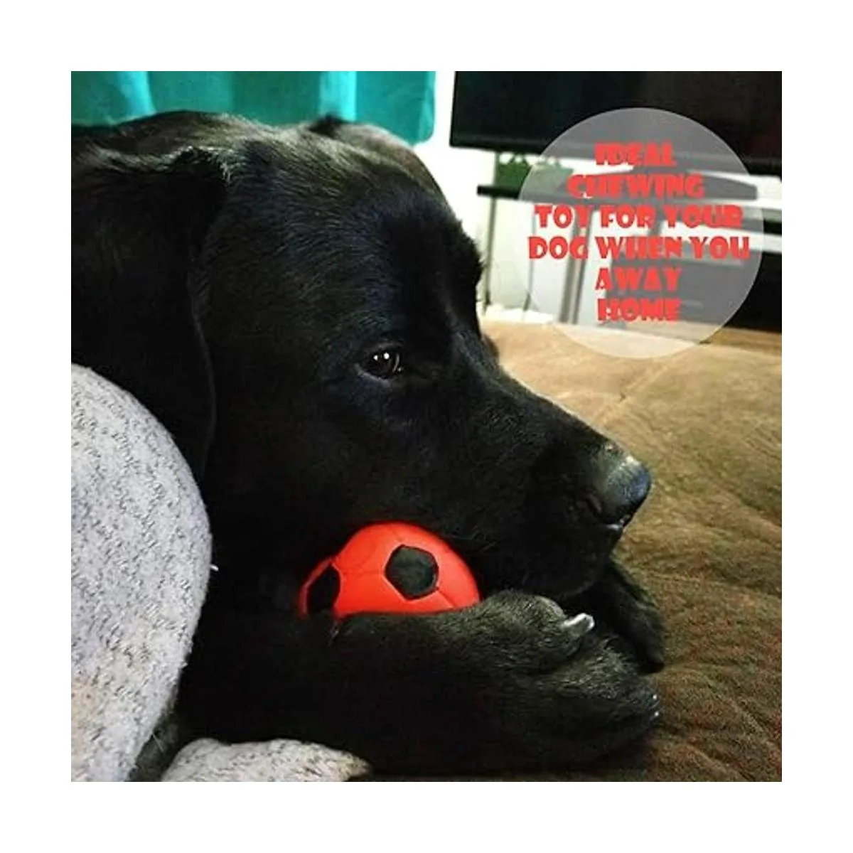 Novelty Place Exprimibles Excelentes bolas antiestrés_6