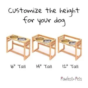 Pawfect Pet Cuencos elevados para perros grandes altura_2