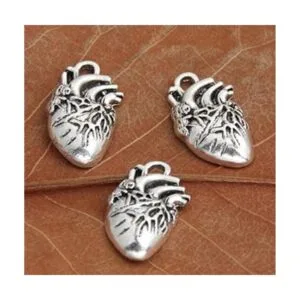 9 colgantes de corazón anatómico plateado 1.024 x 0.591 in_2