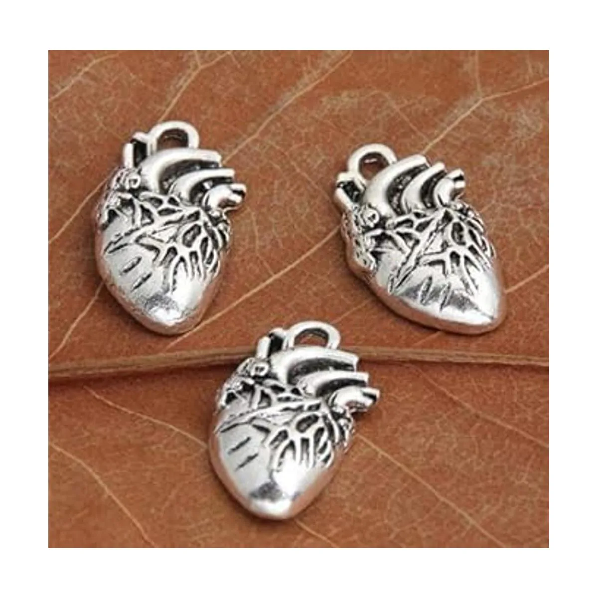 9 colgantes de corazón anatómico plateado 1.024 x 0.591 in_2