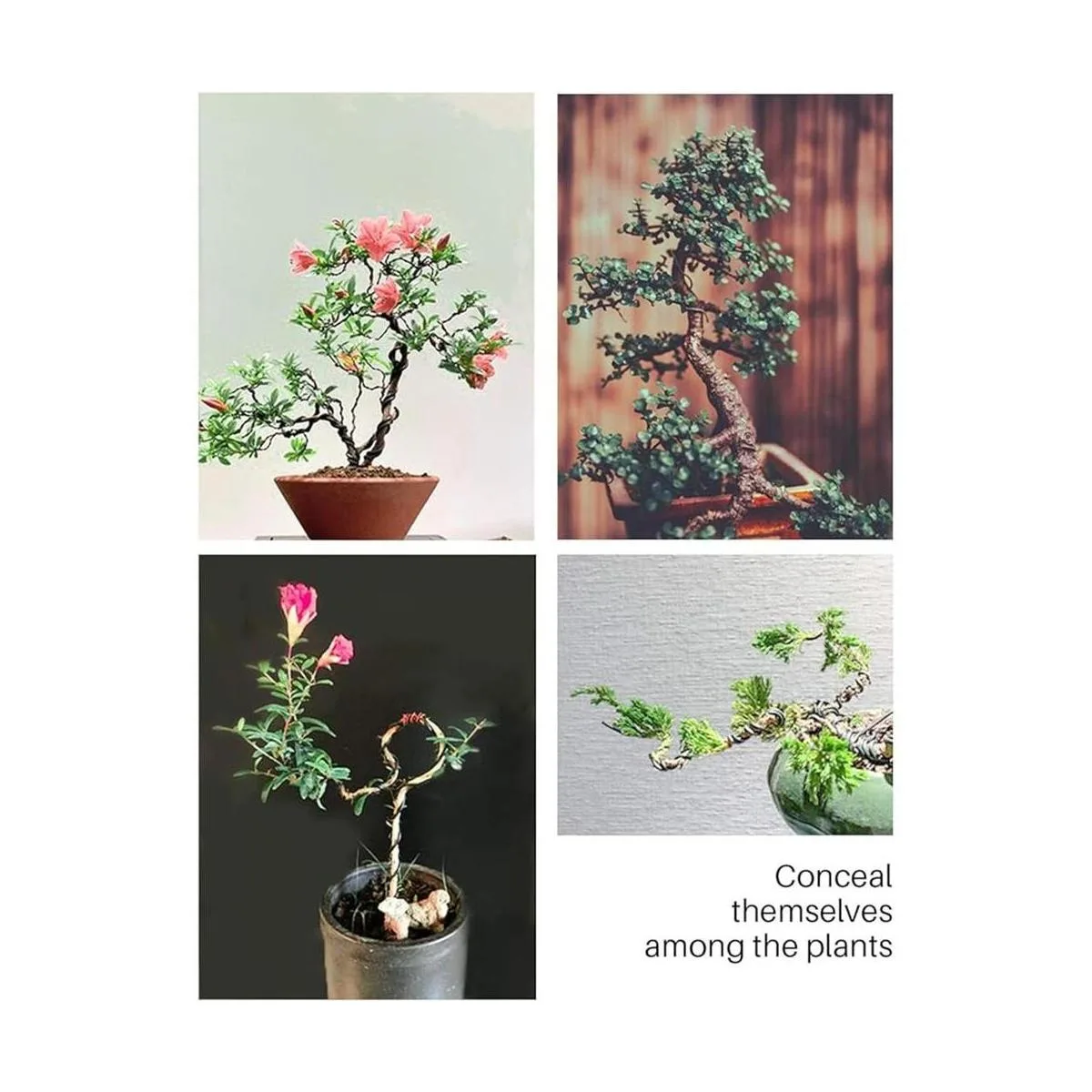 MoHern Bonsai Wire and Bonsai Kit de herramientas de_4