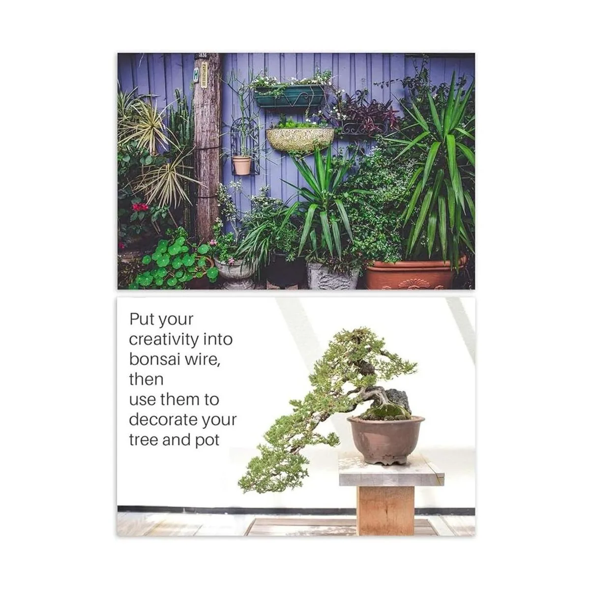 MoHern Bonsai Wire and Bonsai Kit de herramientas de_6