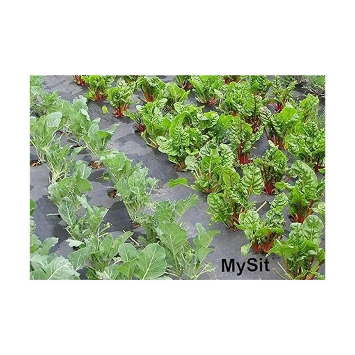 IME Grapas de jardín en forma de U anclajes de suelo