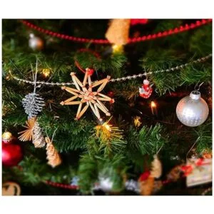 Bombilla de 15 W 15 W bombillas de repuesto para_6