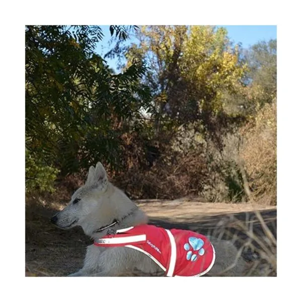 Chaleco reflectante para perro tamaños para perros de 14_3