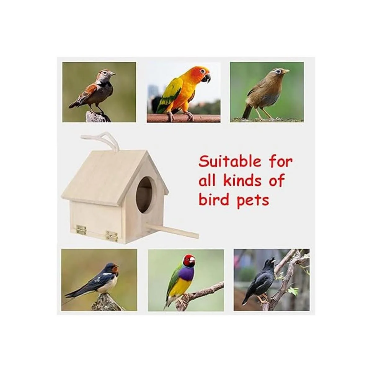 Tfwadmx Wren Casa de pájaros para colgar paquete de 2_6