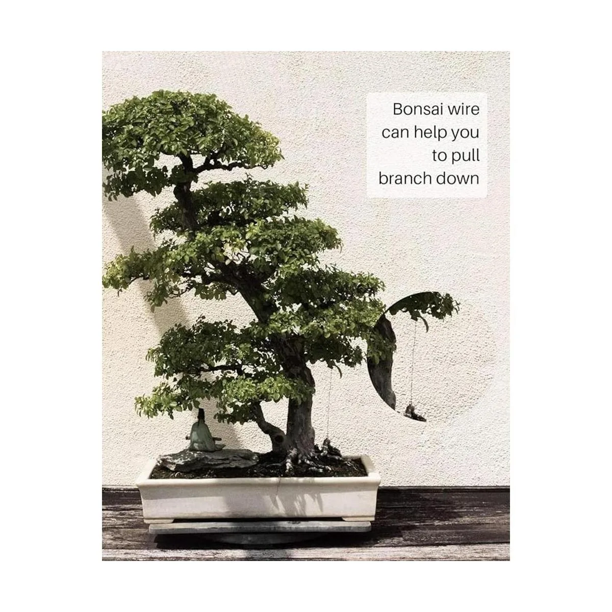 MoHern Bonsai Wire and Bonsai Kit de herramientas de_3