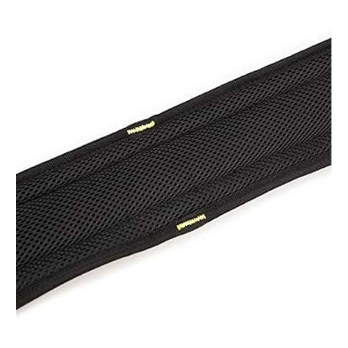 Cinturón de herramientas acolchado con anillo en D para