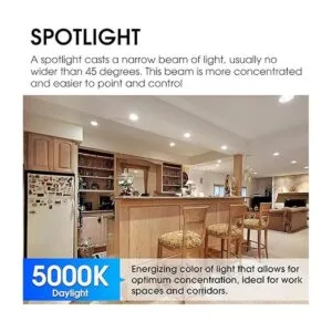 Energetic PAR38 Bombilla LED para exteriores luz diurna