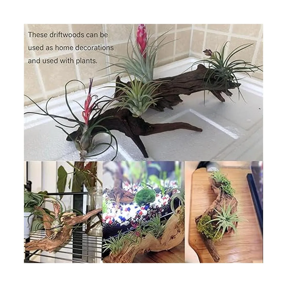 Tfwadmx 5 piezas de madera natural para acuario ramas de_6
