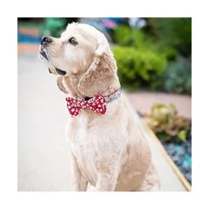 Huxley Kent Pet Bow Tie Snowflake Festive Christmas