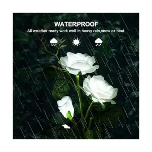 Luces solares para decoración de jardín con forma de_4