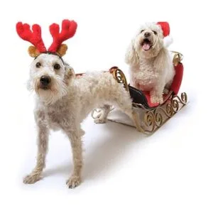 Rypet 2 diademas de cornamenta de reno de Navidad con