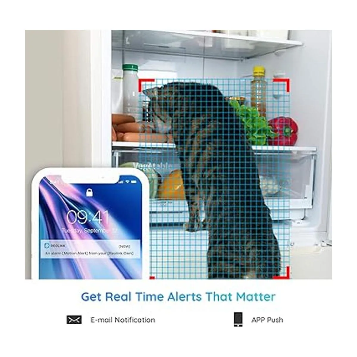 Reolink Sistema de cámara de seguridad para el hogar_4