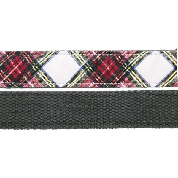 Collar Aring Pet con lazo y pajarita cuello ajustable