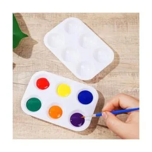 30 paletas de pintura de plástico blanco de 6 pozos