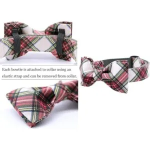 Collar Aring Pet con lazo y pajarita cuello ajustable