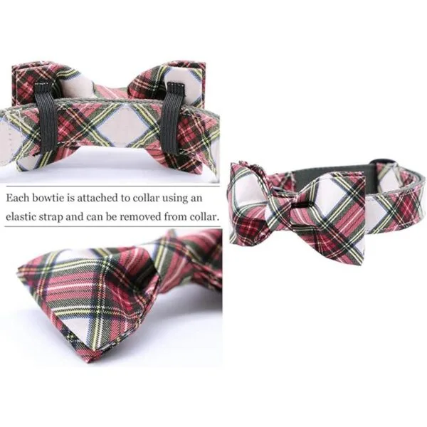 Collar Aring Pet con lazo y pajarita cuello ajustable