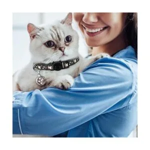 2 collares de gatos separados con lunas campanas