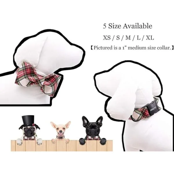 Collar Aring Pet con lazo y pajarita cuello ajustable