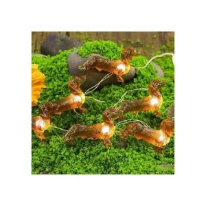 Impress Life Pet Theme Decorative String Lights 10ft 30
