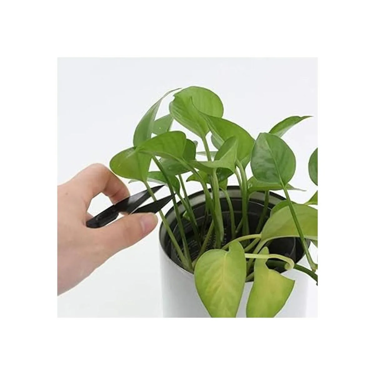 Anley Juego de tijeras de coser de 4 pulgadas hilo de