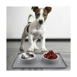 Cuencos para perros con alfombra cuenco de agua para_2