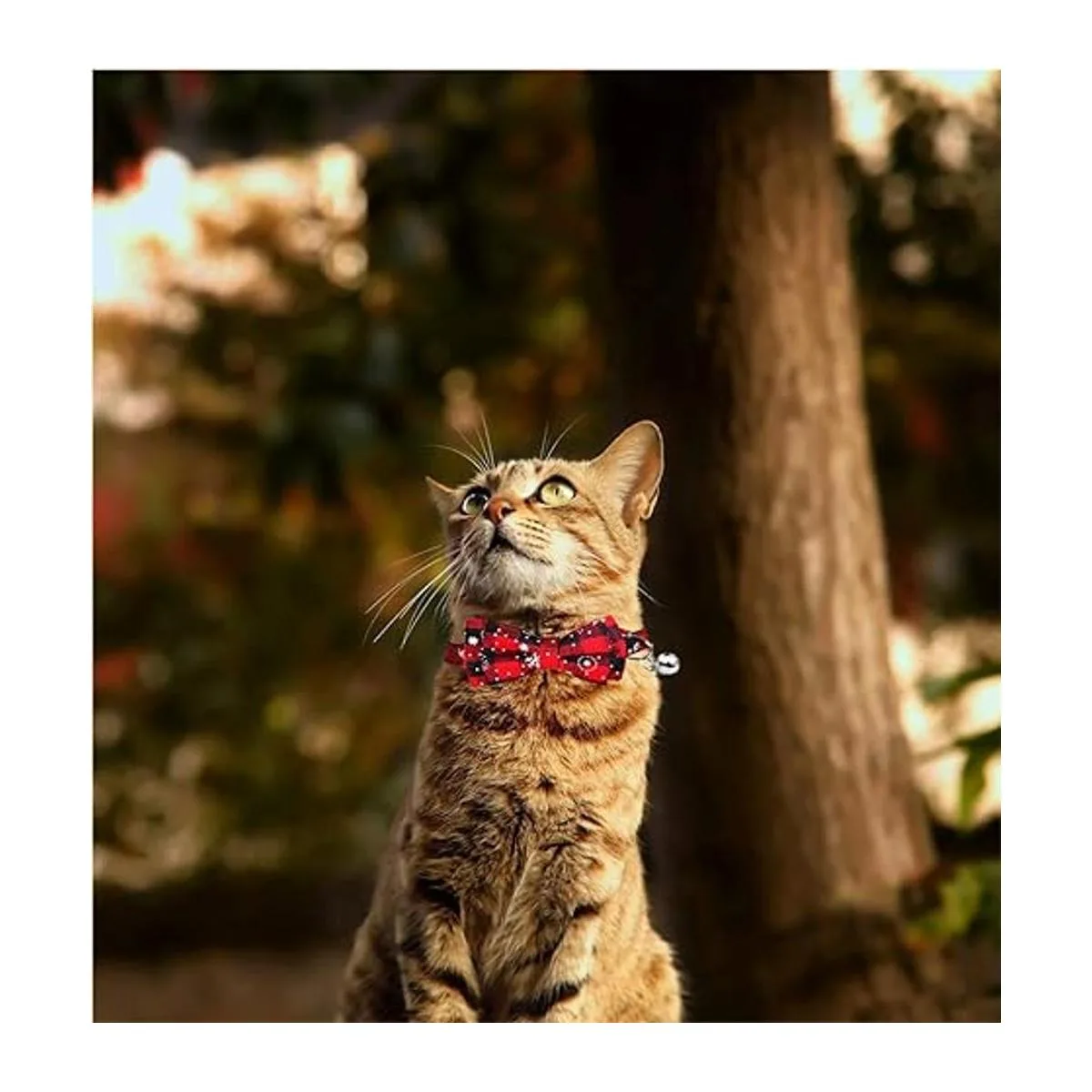 Malier Collar de gato de Navidad con diseño de copo de_4