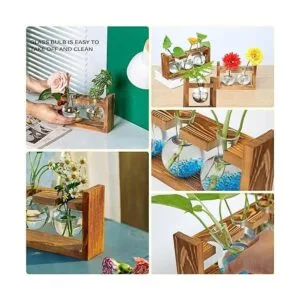 Kingbuy Florero de vidrio en forma de bulbo con soporte_3